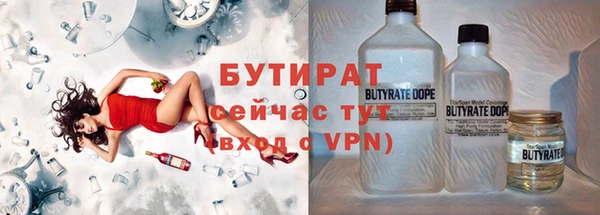 МДПВ Бородино