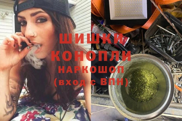 МДПВ Бородино