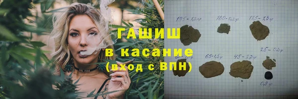 МДПВ Бородино