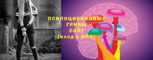 МДПВ Бородино