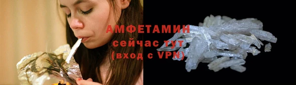 МДПВ Бородино