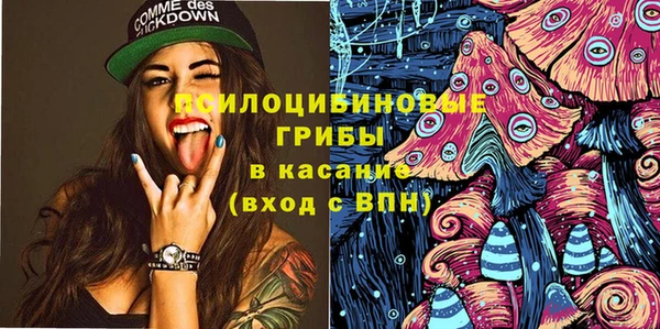 ПСИЛОЦИБИНОВЫЕ ГРИБЫ Бугульма