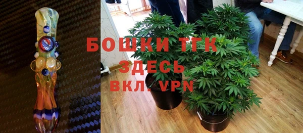ПСИЛОЦИБИНОВЫЕ ГРИБЫ Бугульма