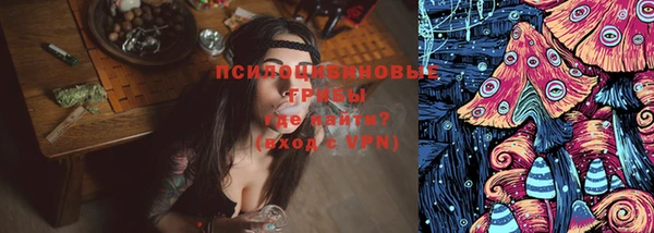 ПСИЛОЦИБИНОВЫЕ ГРИБЫ Бугульма