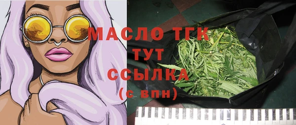 МДПВ Бородино