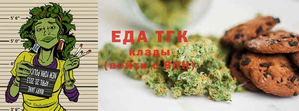 МДПВ Бородино