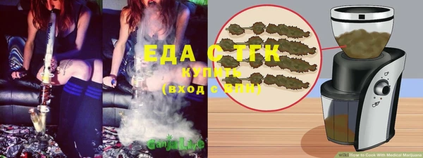 МДПВ Бородино