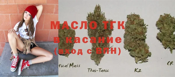 МДПВ Бородино