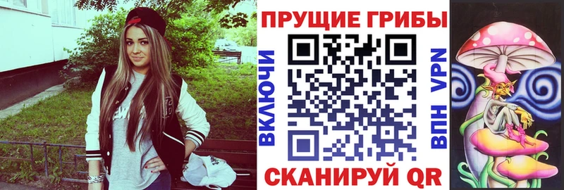 Галлюциногенные грибы Psilocybine cubensis Карасук